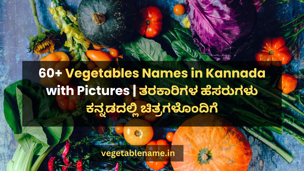 60+ Vegetables Names in Kannada with Pictures | ತರಕಾರಿಗಳ ಹೆಸರುಗಳು ಕನ್ನಡದಲ್ಲಿ ಚಿತ್ರಗಳೊಂದಿಗೆ