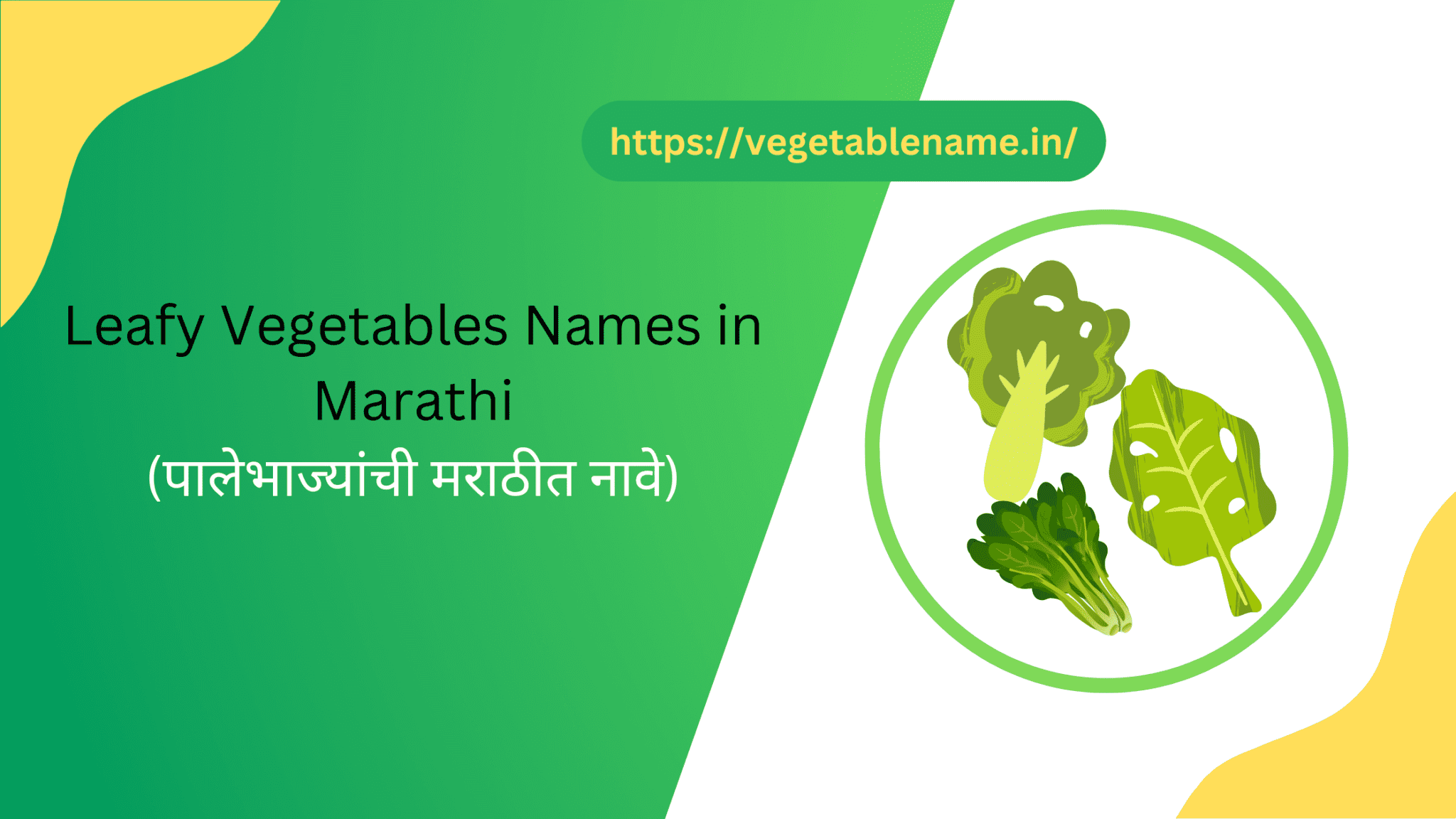 15-leafy-vegetables-names-in-marathi