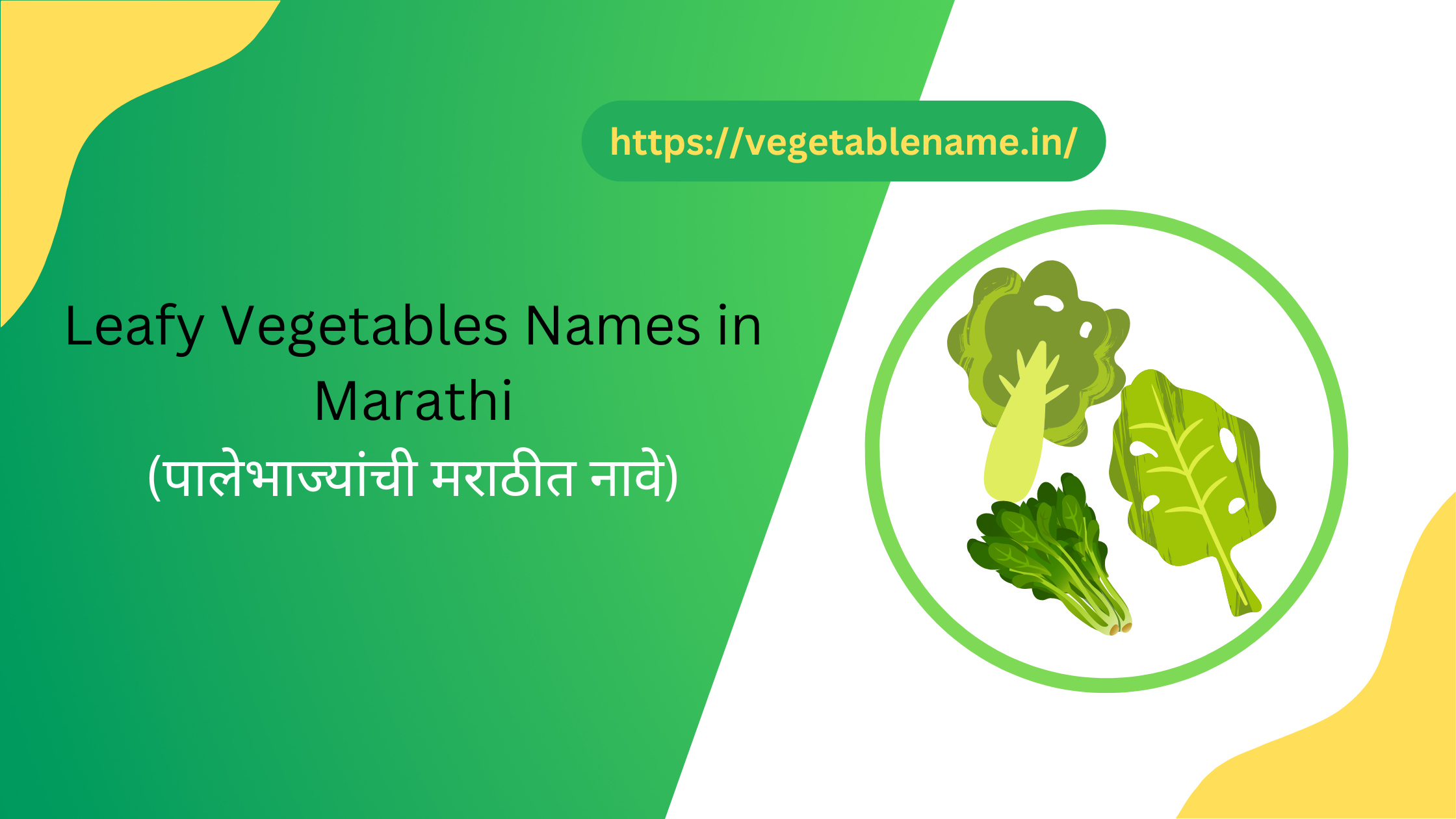 Leafy Vegetables Names in Marathi