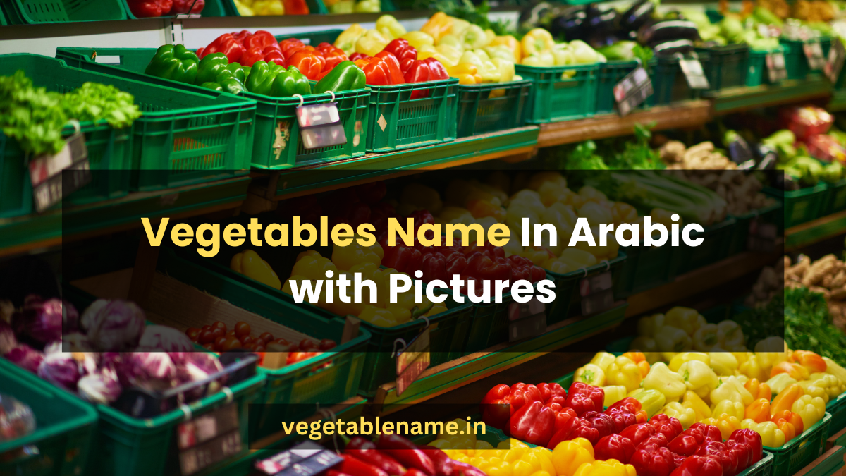 Vegetables Name In Arabic with Pictures