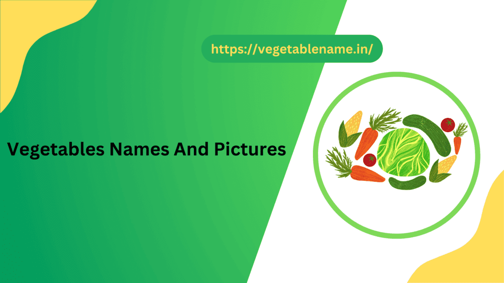Vegetables Names And Pictures