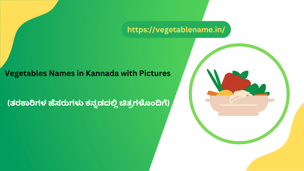Vegetables Names in Kannada with Pictures 