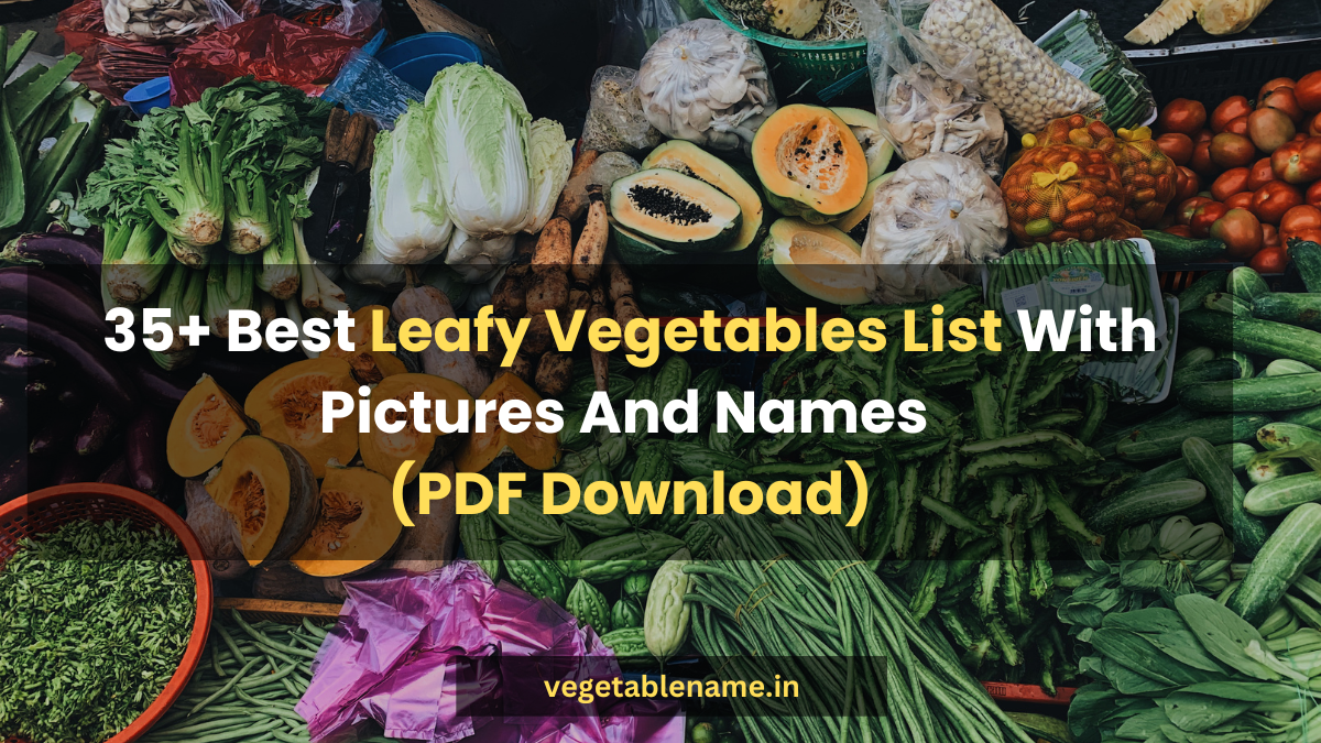 35+ Best Leafy Vegetables List With Pictures And Names