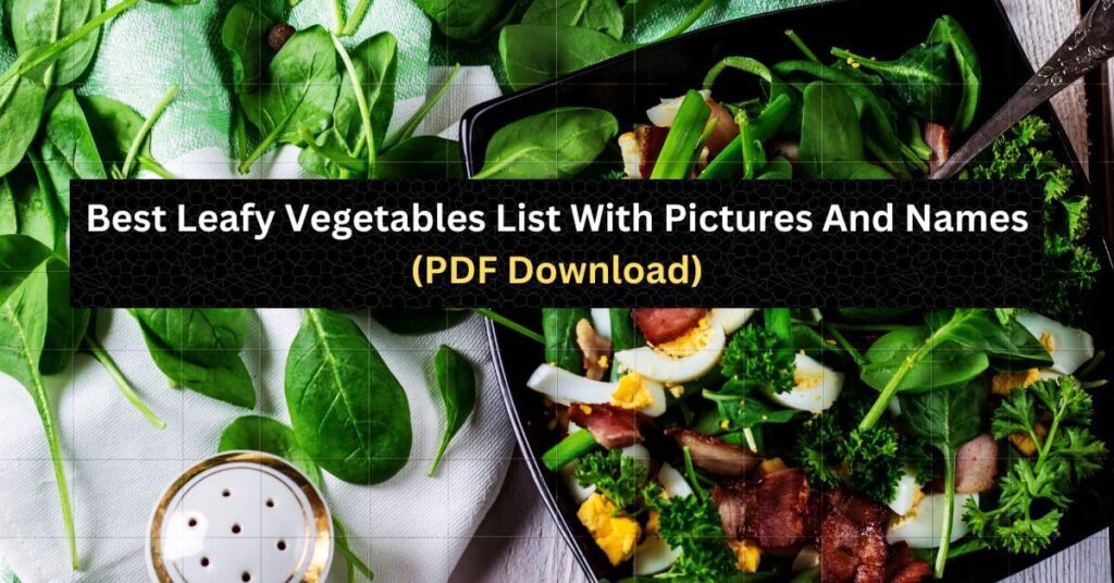 Leafy Vegetables List With Pictures And Names