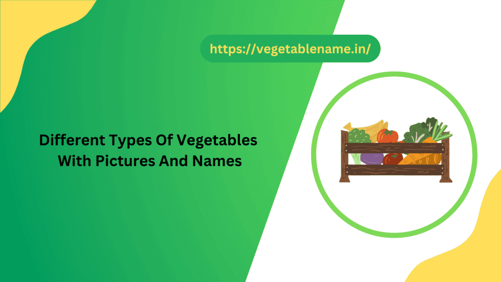 Different Types Of Vegetables With Pictures And Names