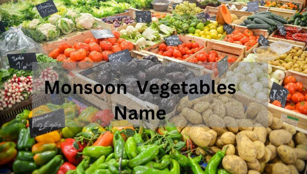Monsoon Vegetables Name