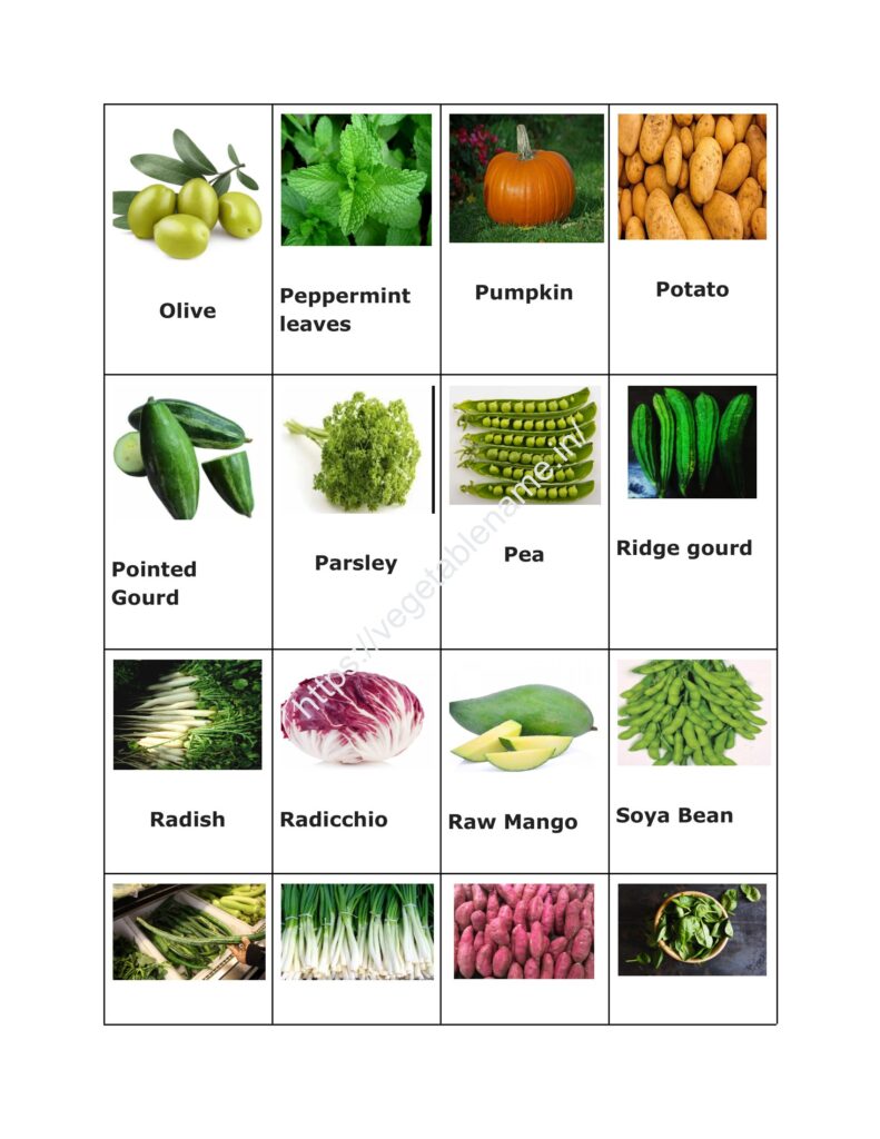indian vegetables names with pictures in english