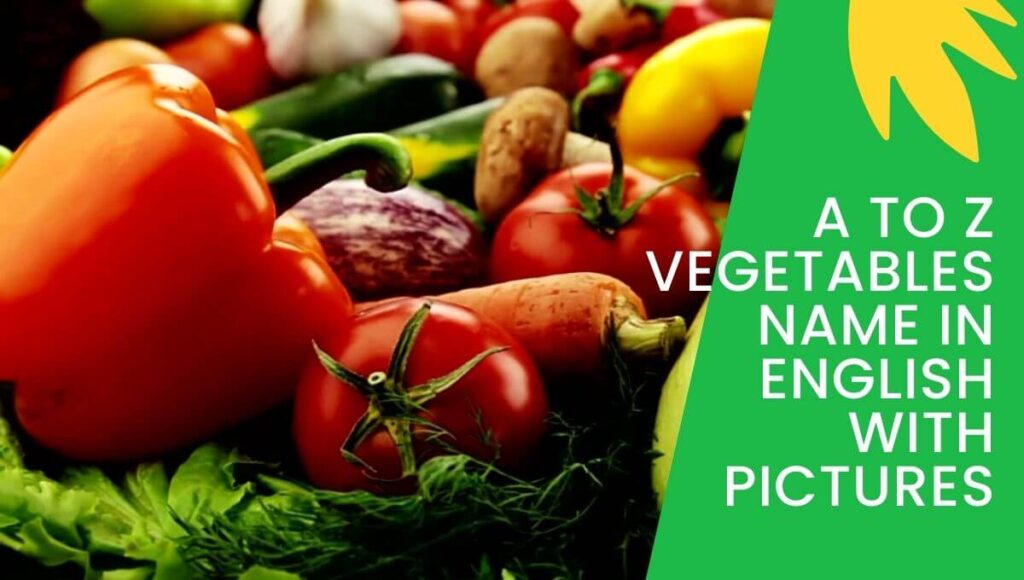 A to Z Vegetables Name in English With Pictures