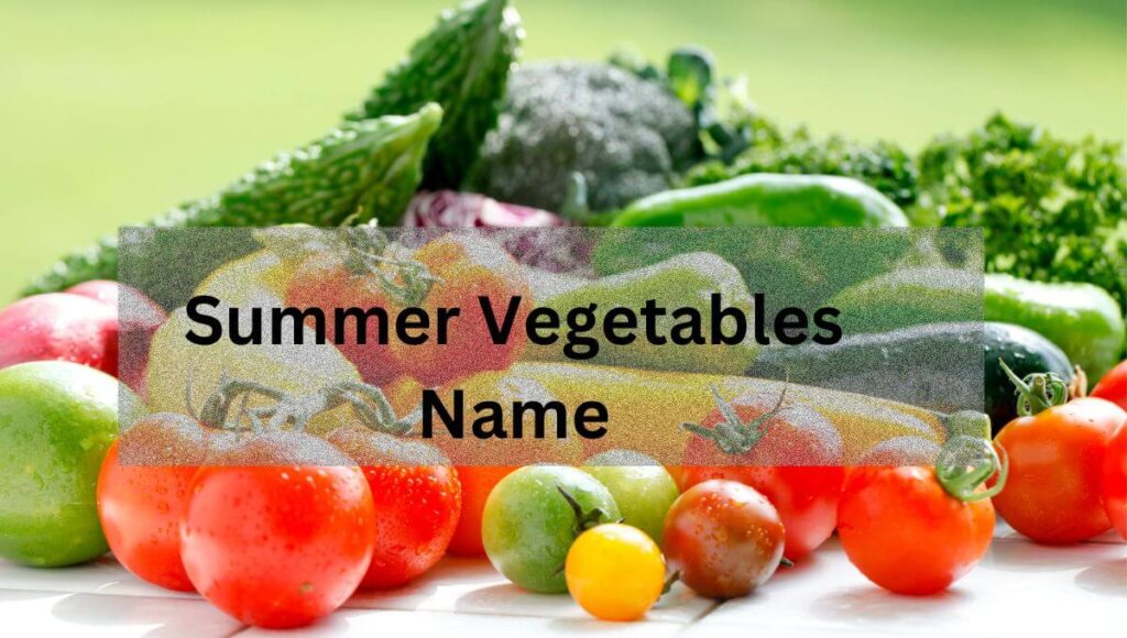 Summer Vegetables Name