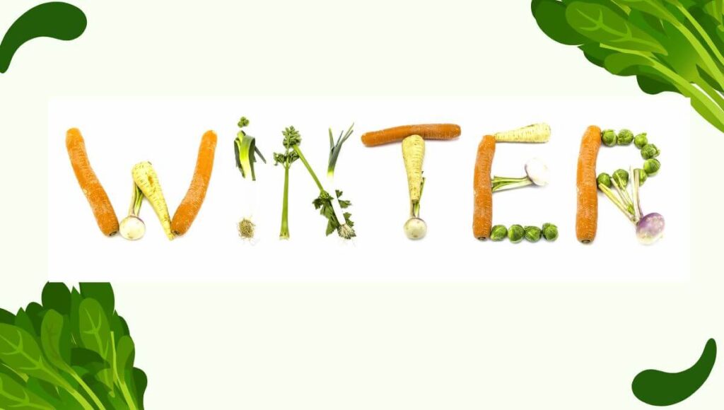 Winter Vegetables Name