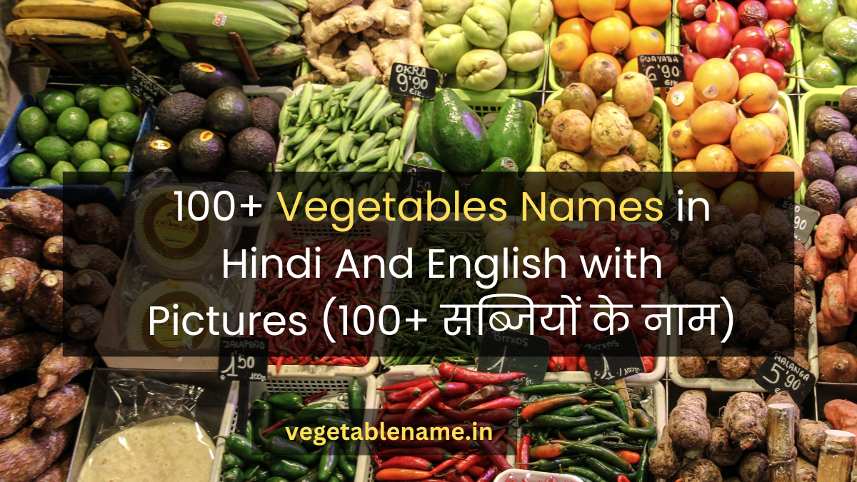 100+ Vegetables Names