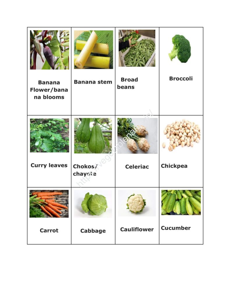 Vegetable names and images