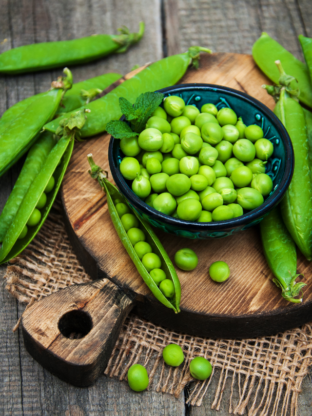 What is the Scientific Name of Pea?