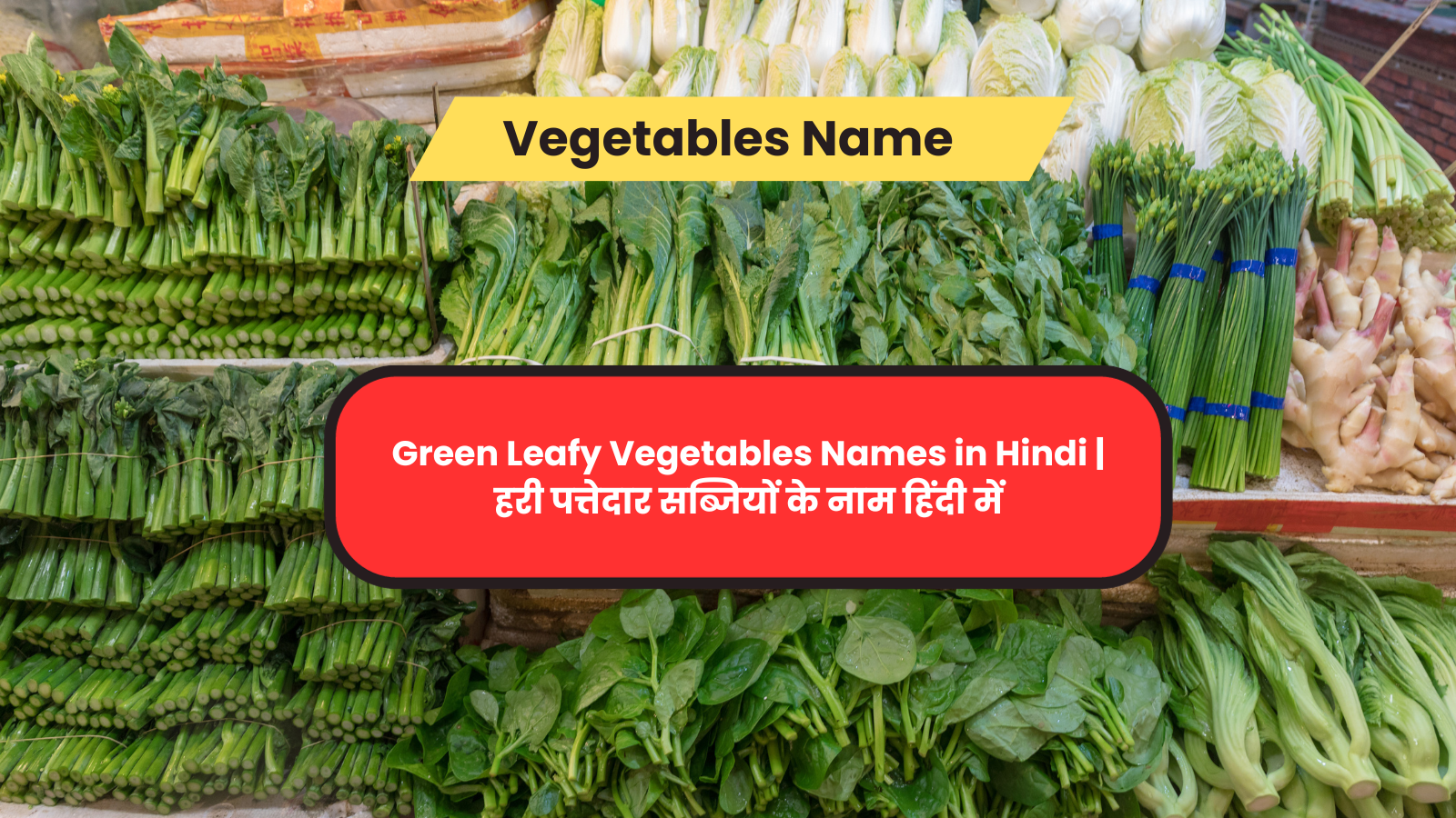 Green Leafy Vegetables Names in Hindi